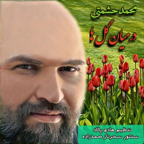 دانلود آهنگ جدید محمد حشمتی با عنوان در میان گلها